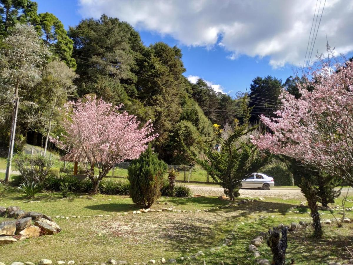 Colonia Saa Hotel Campos do Jordao Luaran gambar