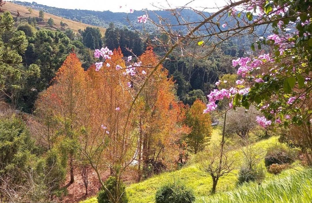 Colonia Saa Hotel Campos do Jordao Luaran gambar